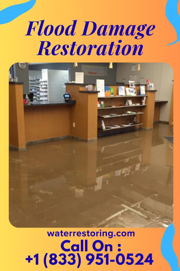 Flood Damage Restoration in Worth, MO